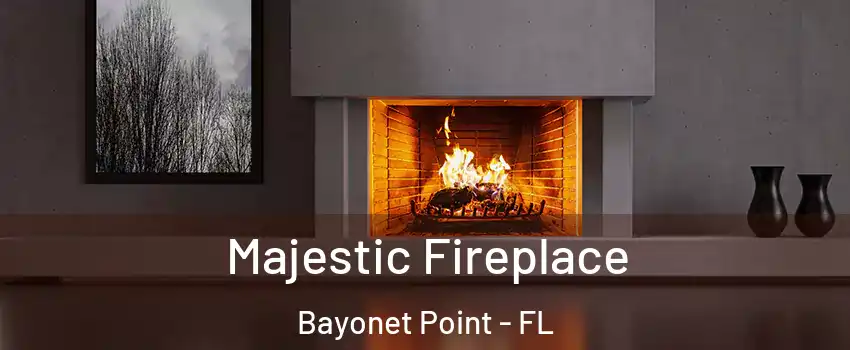  Majestic Fireplace Bayonet Point - FL