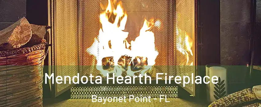  Mendota Hearth Fireplace Bayonet Point - FL