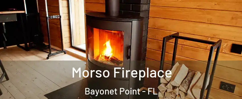  Morso Fireplace Bayonet Point - FL