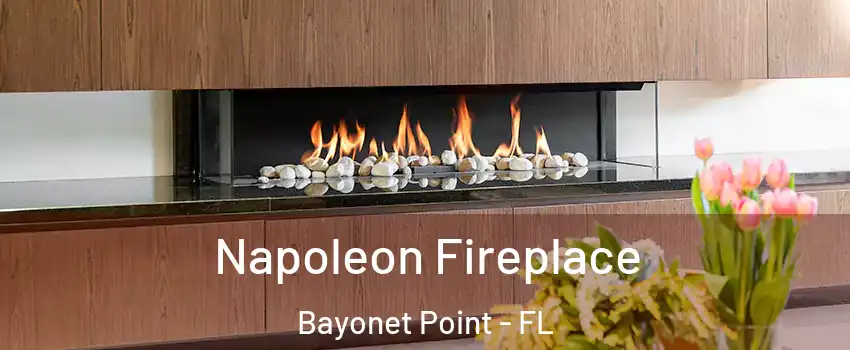  Napoleon Fireplace Bayonet Point - FL