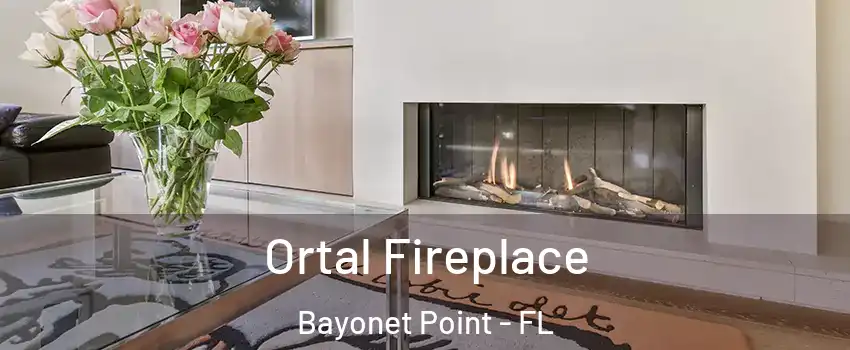  Ortal Fireplace Bayonet Point - FL