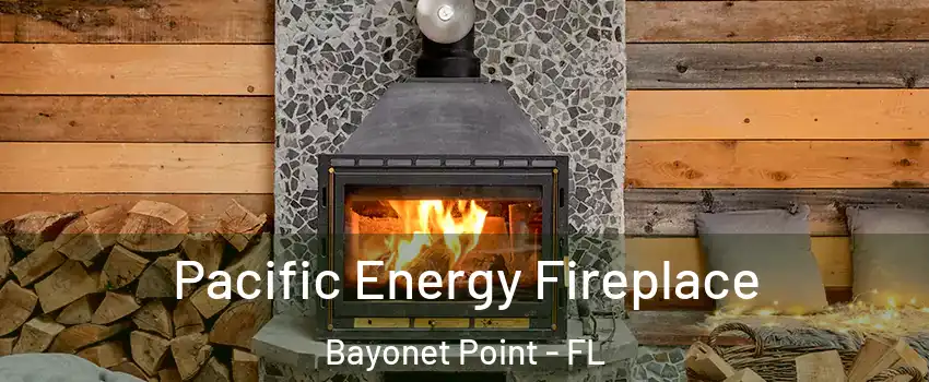  Pacific Energy Fireplace Bayonet Point - FL