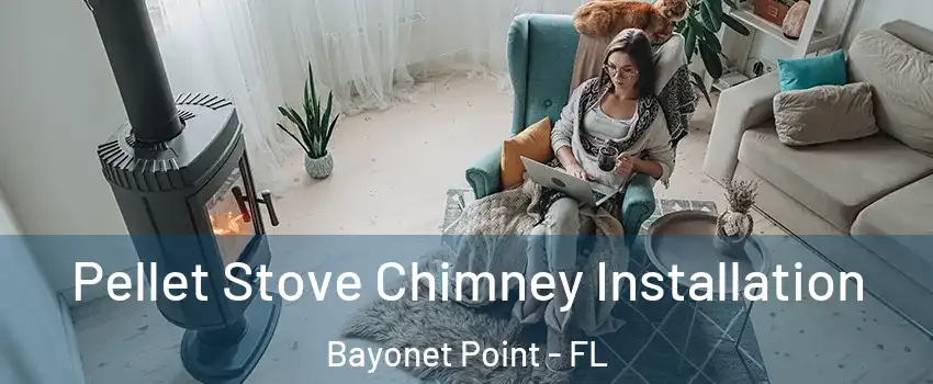  Pellet Stove Chimney Installation Bayonet Point - FL