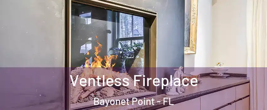 Ventless Fireplace Bayonet Point - FL