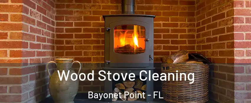  Wood Stove Cleaning Bayonet Point - FL