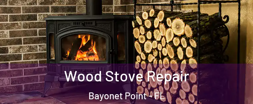  Wood Stove Repair Bayonet Point - FL